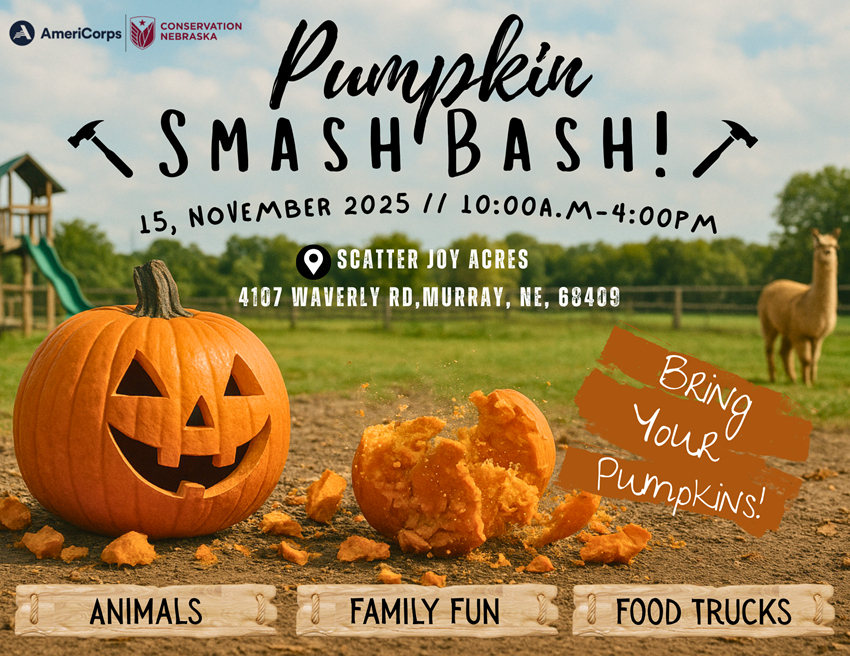 Orange and Yellow Fall Festival Event Flyer