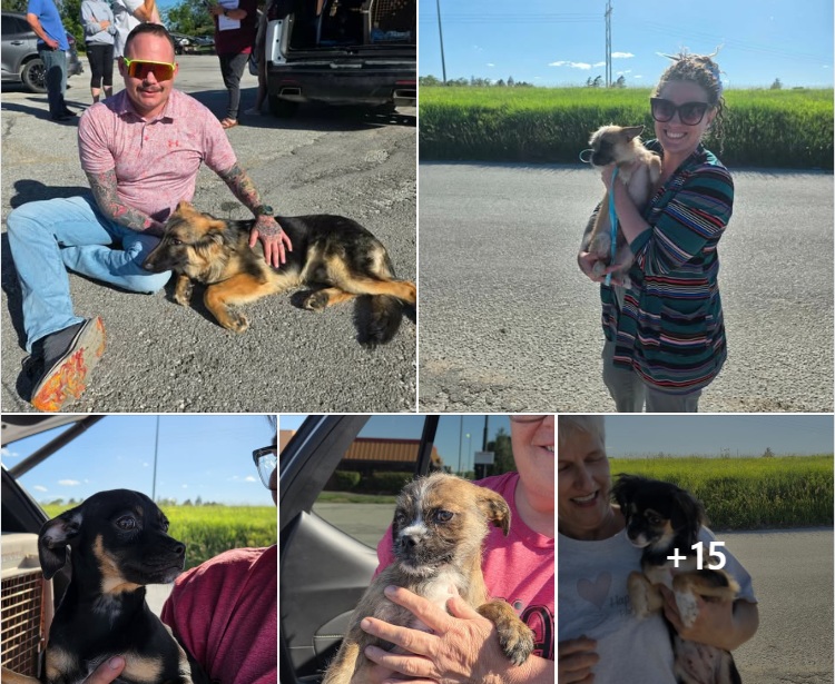 happy paws June 2026