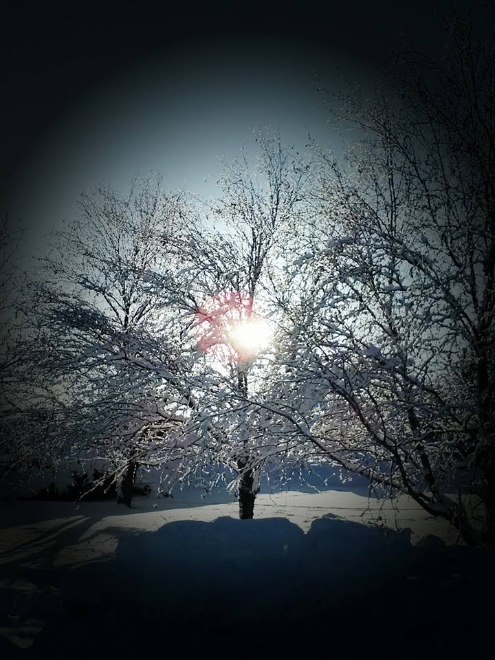 Snow 4