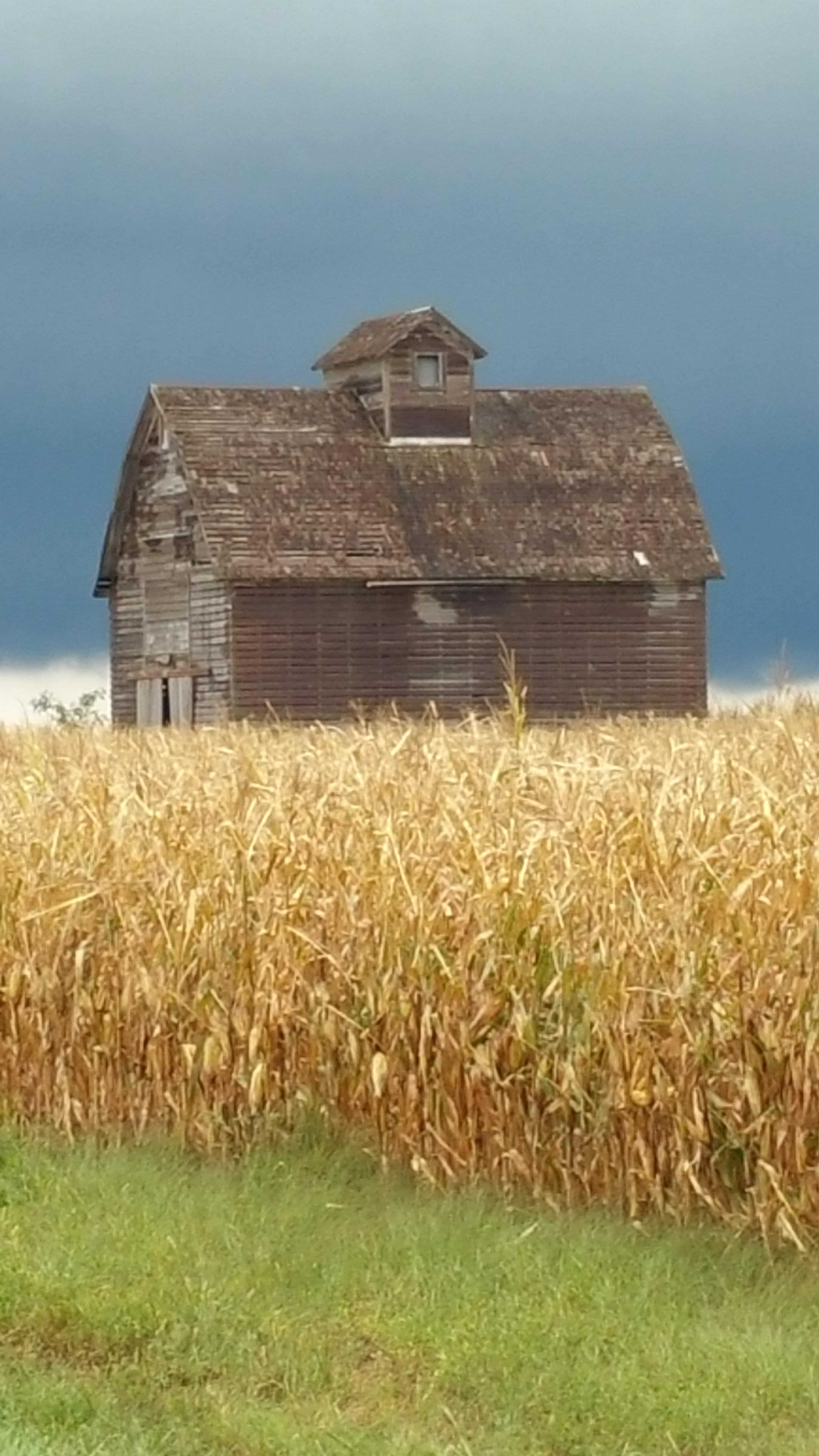 barn