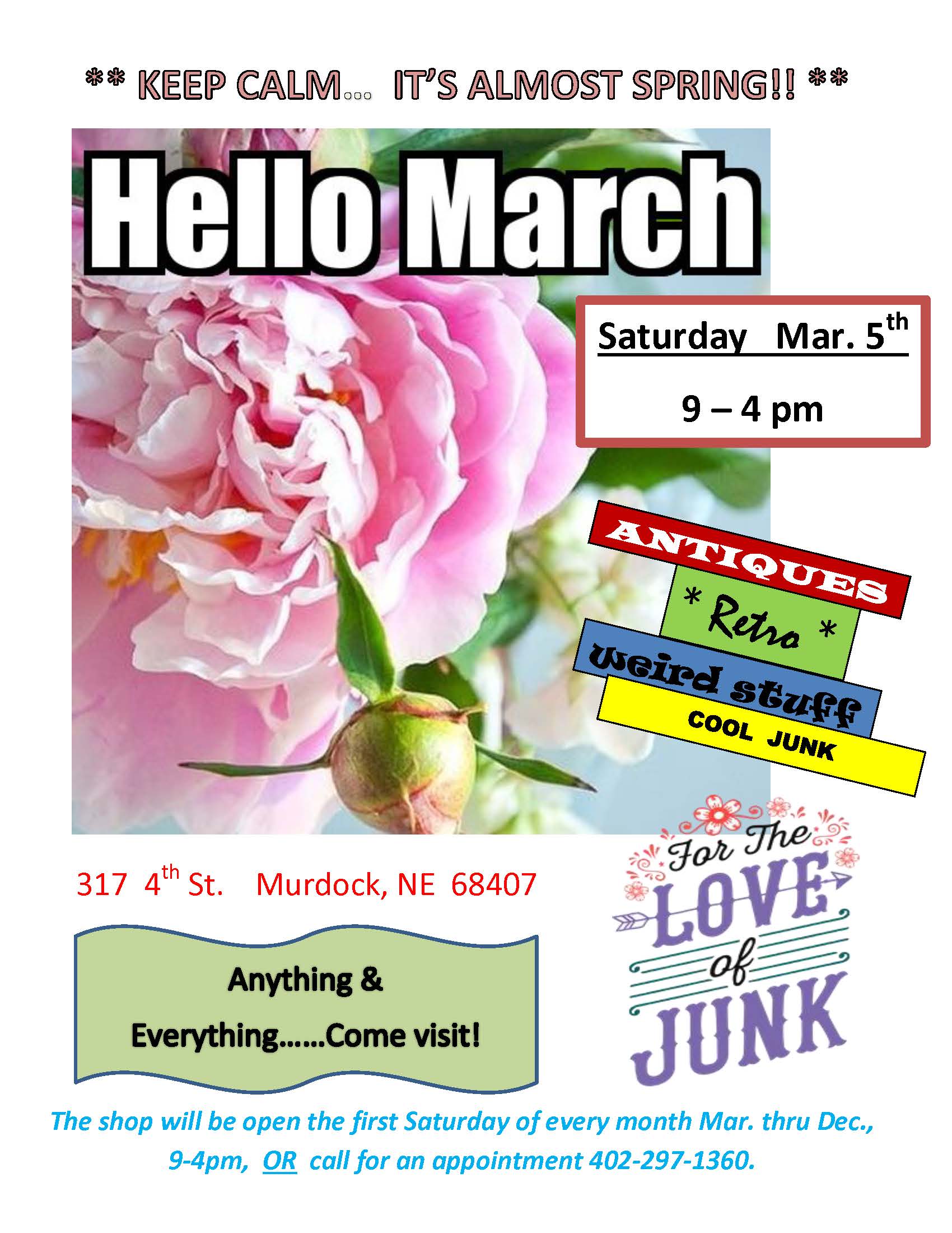 Junk flyer 3 5 16