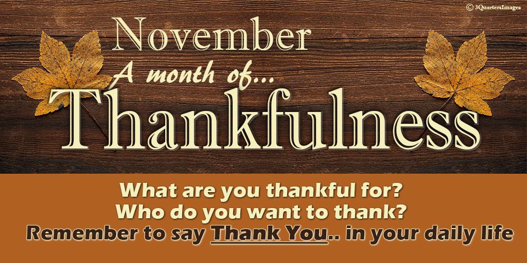SM NovemberThanksfullness 1116