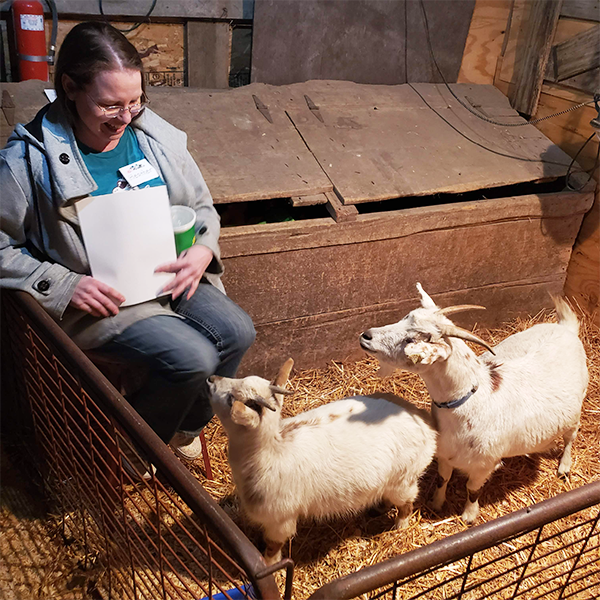Living nativity goats 2021 Murdock NE