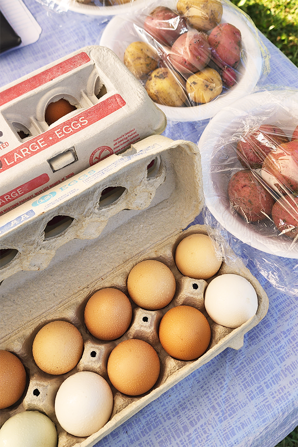 Elmwood Farmers Market 07132022d