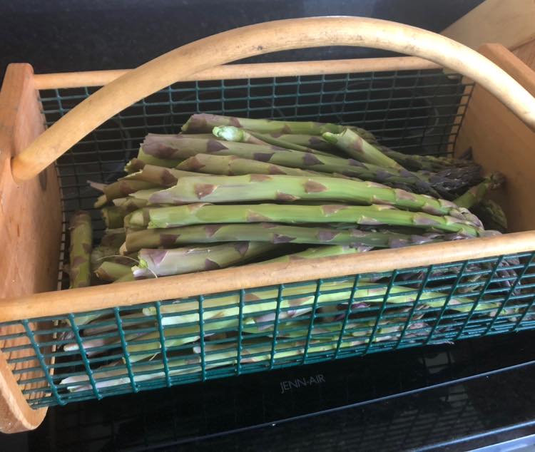 asparagus farmers market nebraska