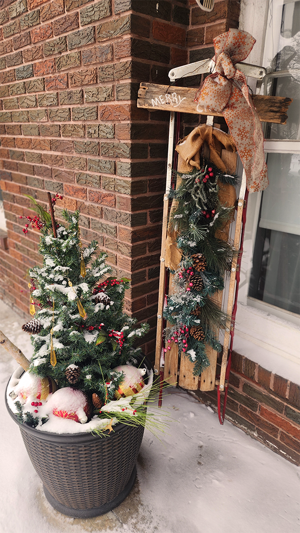 20251129 Bess Streeter Aldrich 9sm