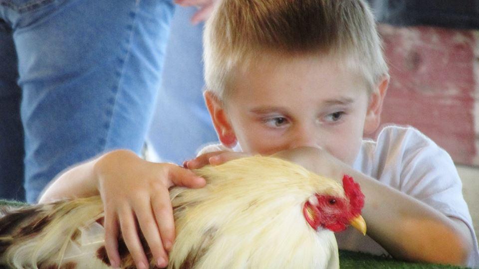 Charlie and chicken