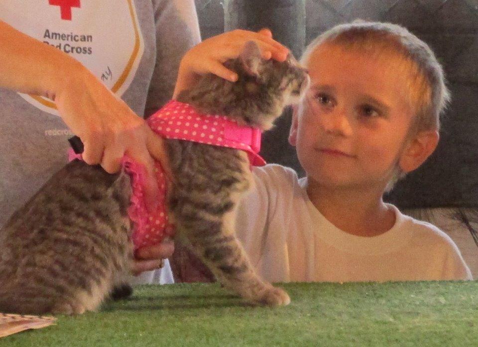Charlie and kitten