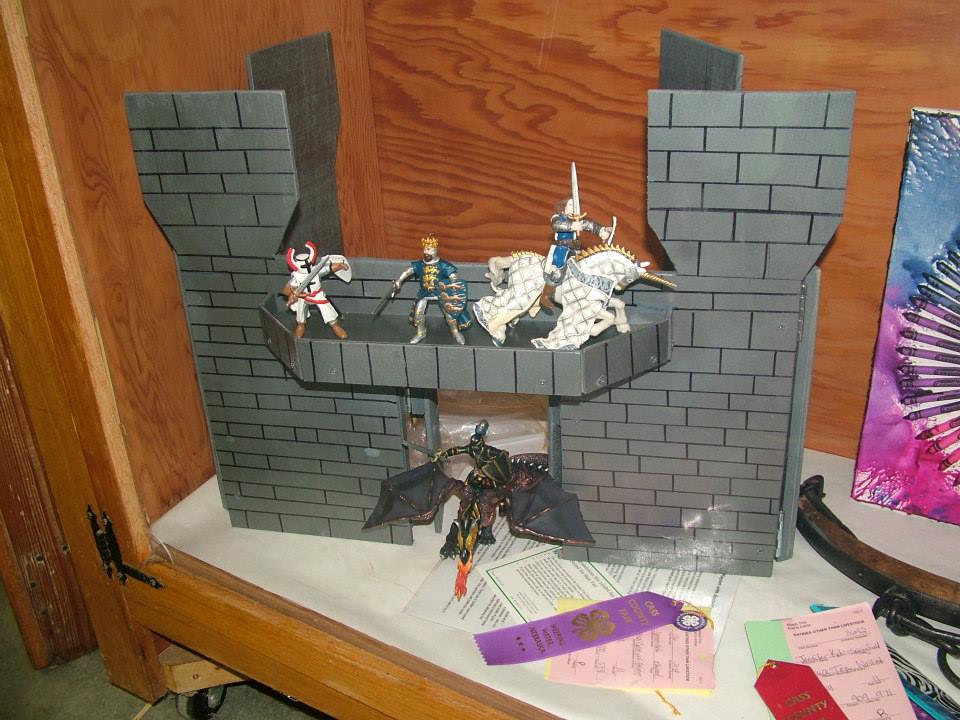 Spencer Koehns state fair project