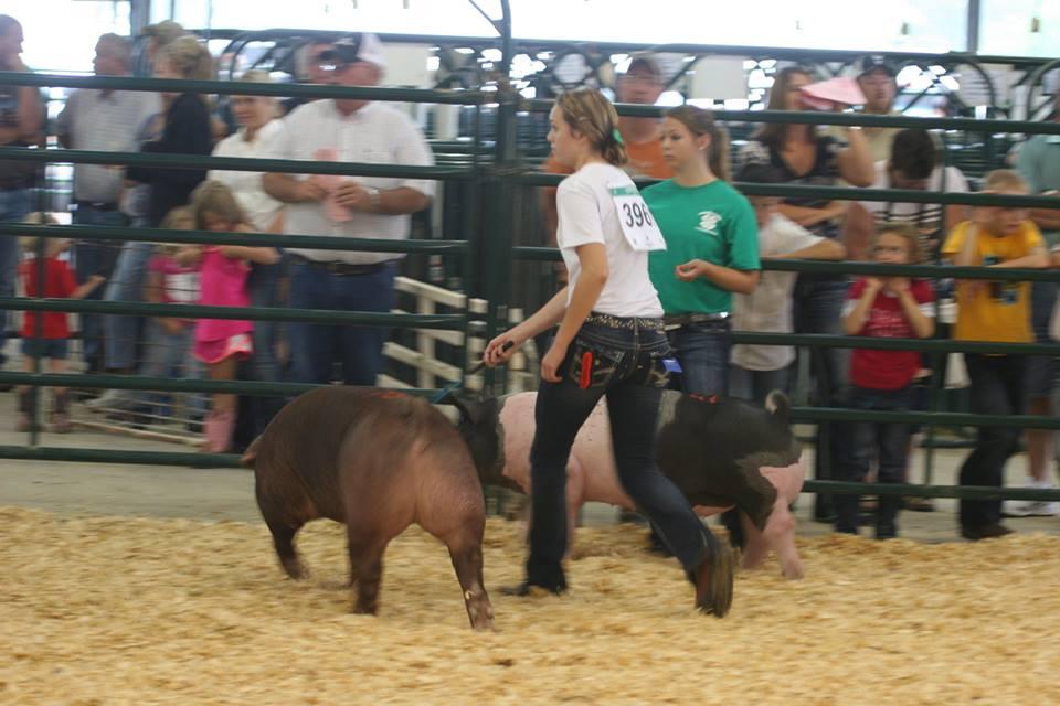 Whitney and pig
