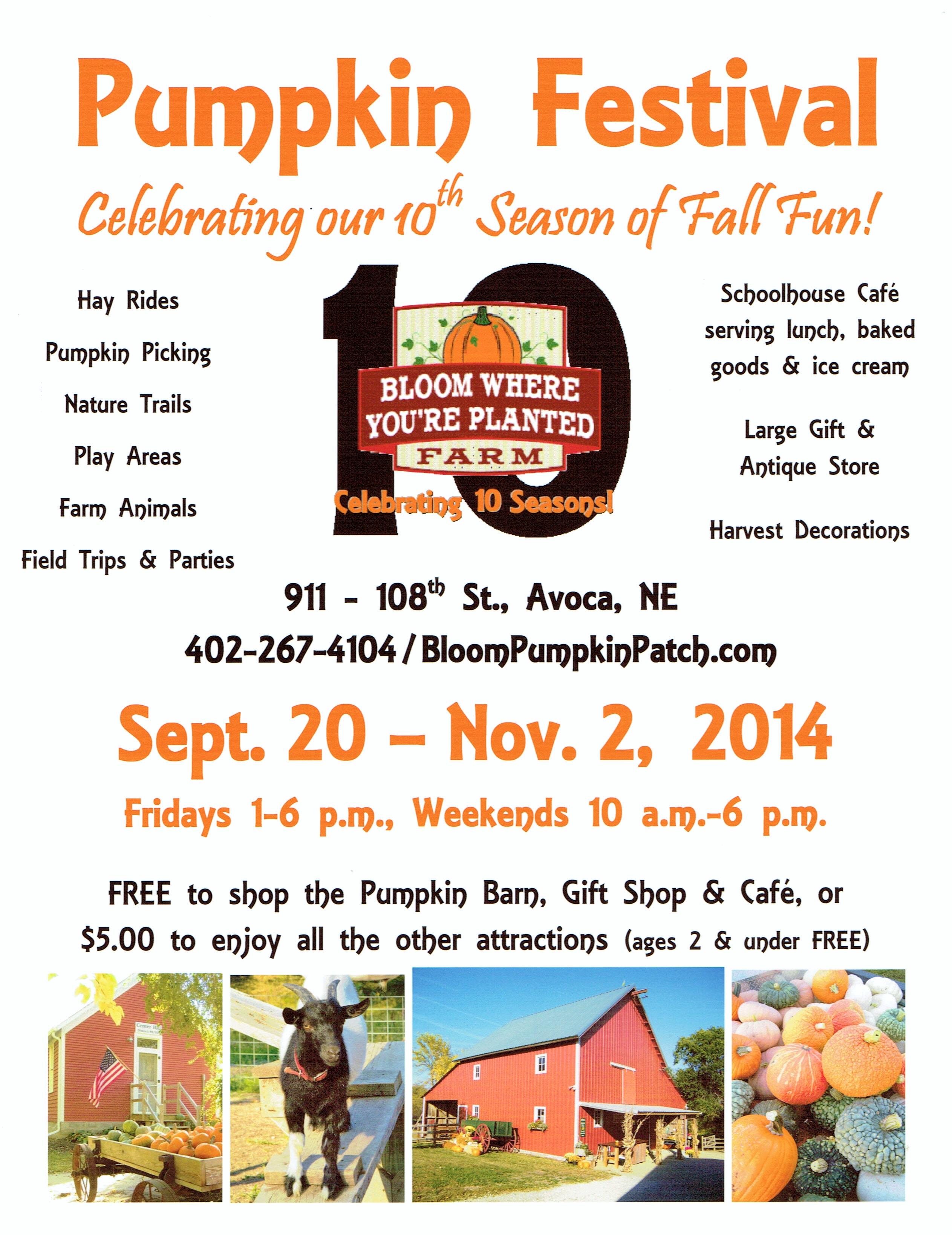 BWYP flyer 14