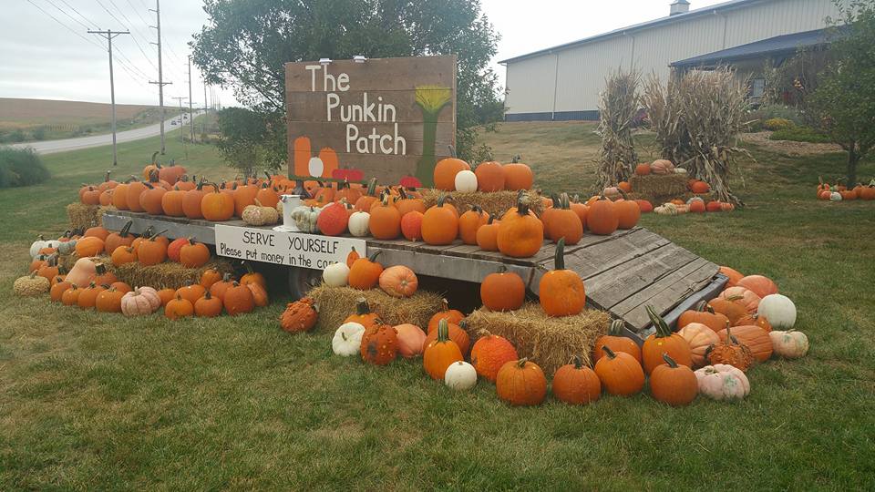 OehlerkindPumpkinPatch