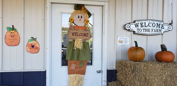Elmwoodpumpinfarm 2018 2