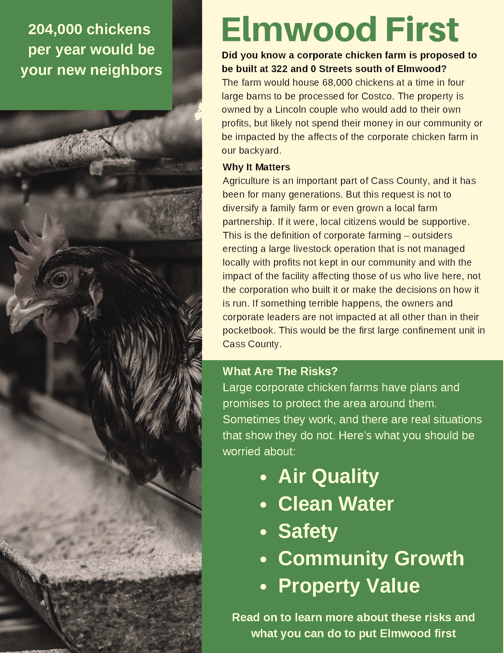 Elmwood First Flyer Front
