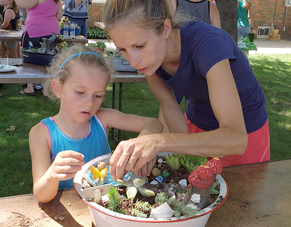 Fairy garden4