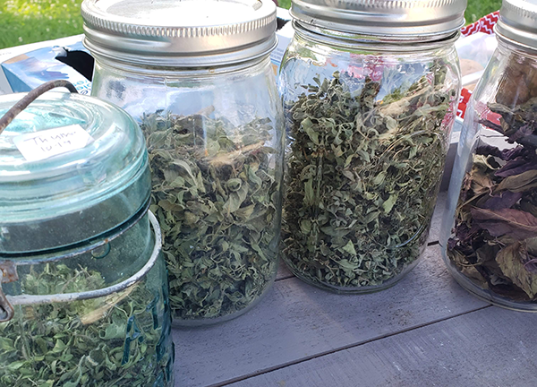Farmersmarket 06272019