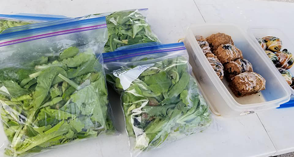 farmersmarket 06262019