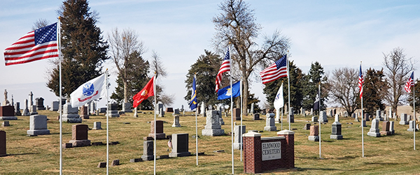 veterans day elmwood 2019 cemetary