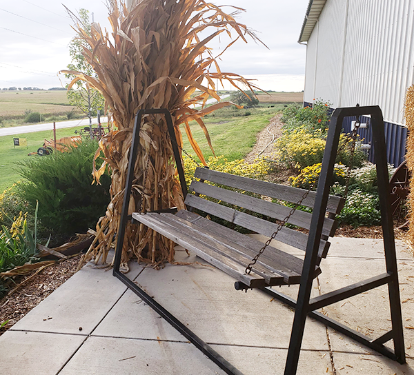 pumkinpatch102319