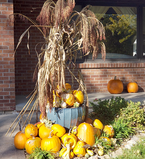 Elmwood fall 10122019b