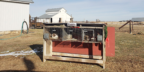 Living Nativity 1220 2020g