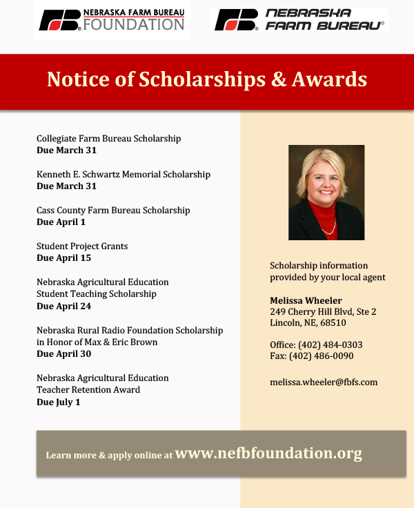 Scholarship Flyer 2020