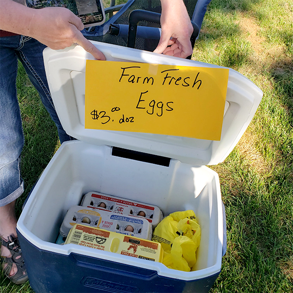 FarmersMarket 061320c