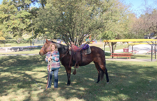 horse in park