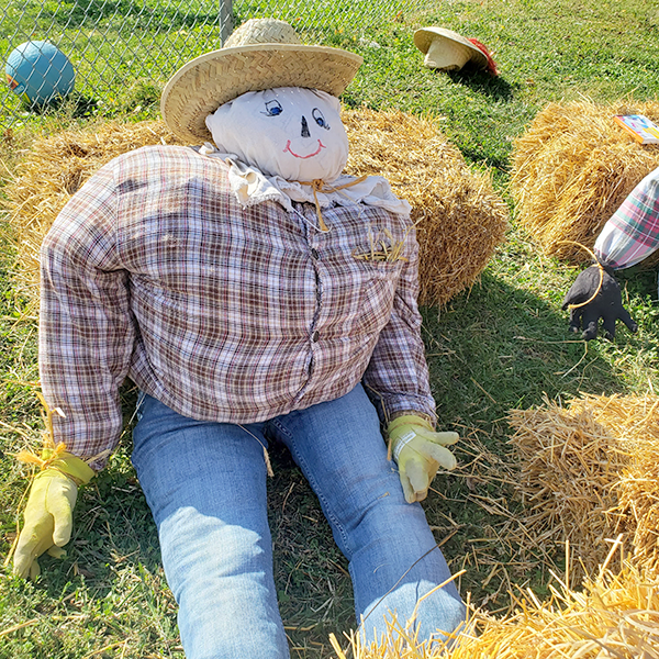 scarecrow park 10 2020
