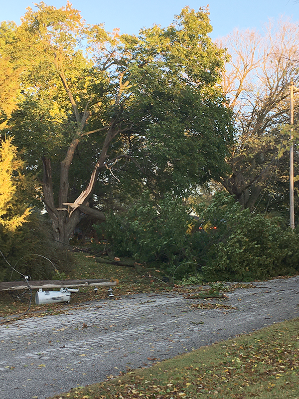 wind storm
