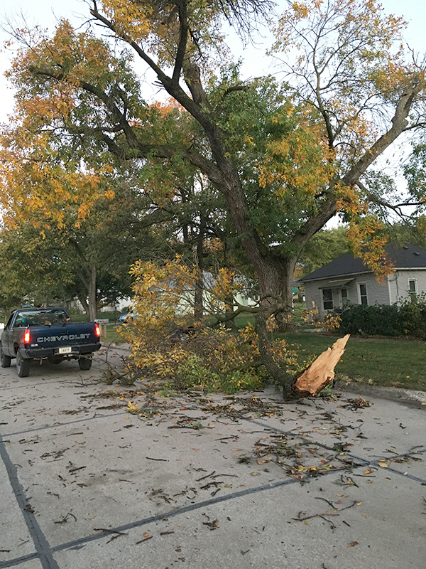 wind storm 2