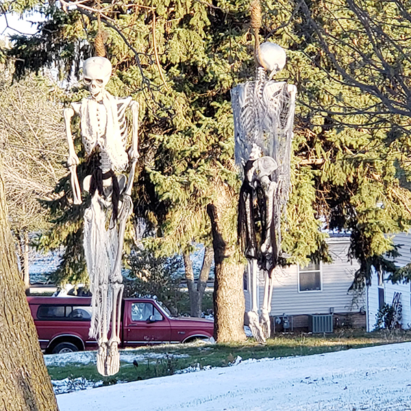 Elmwood Halloween 2020b