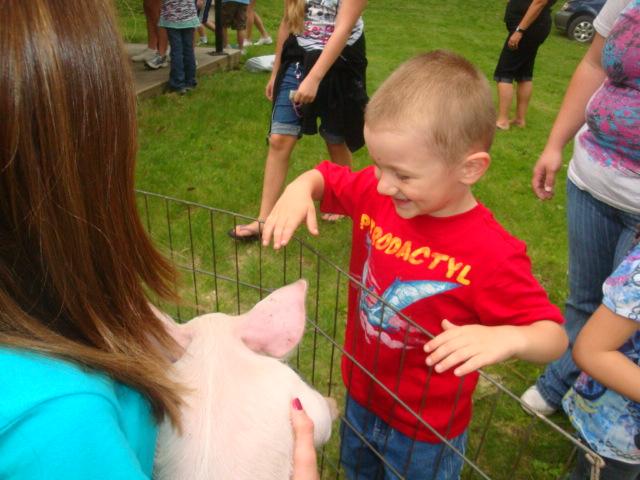 Park_pets_pig