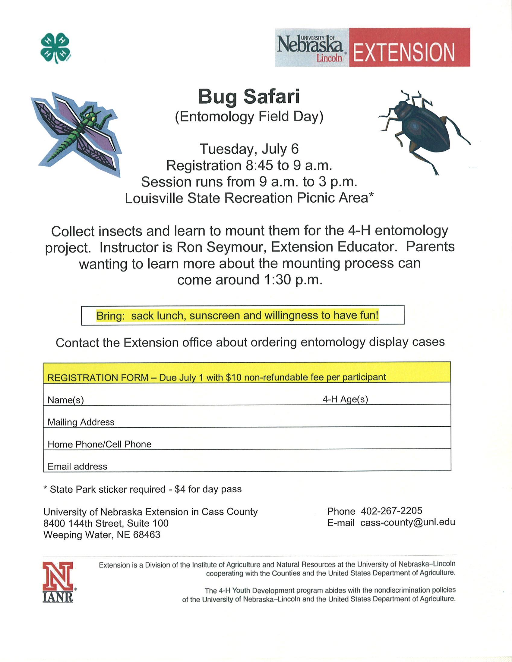 4-h_bug_safari