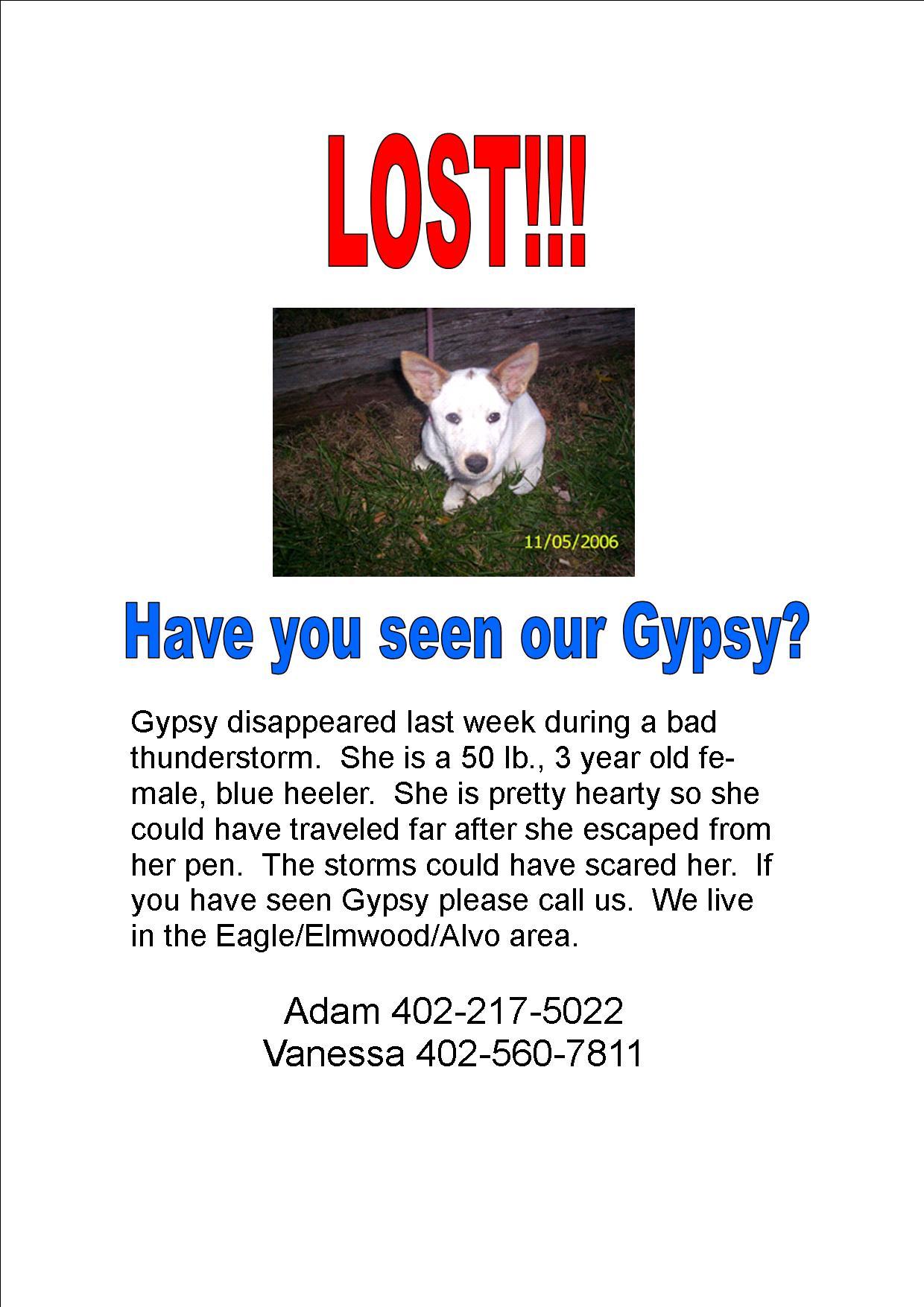 Gypsy