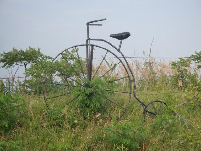 DSC02797