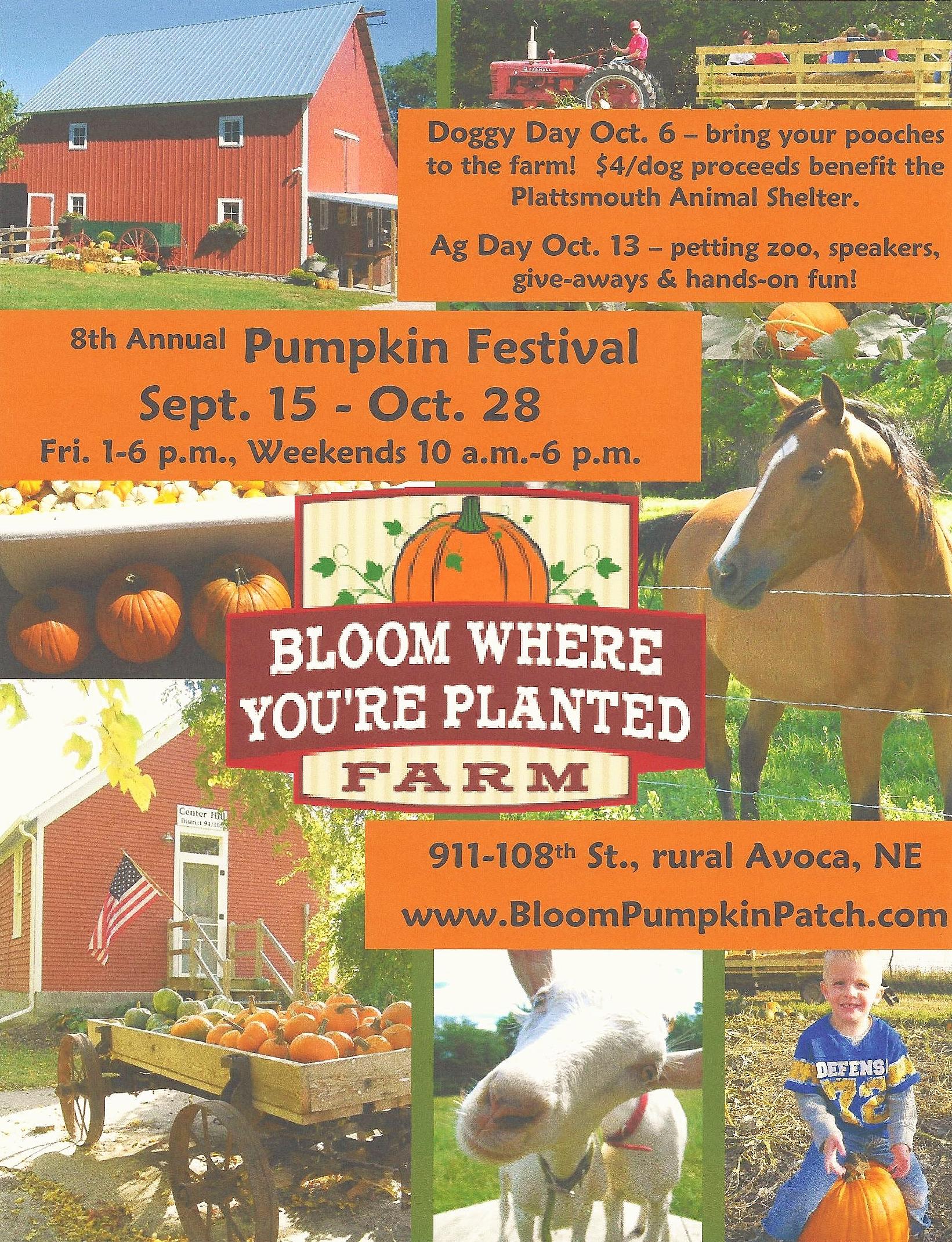 BloomFlyer