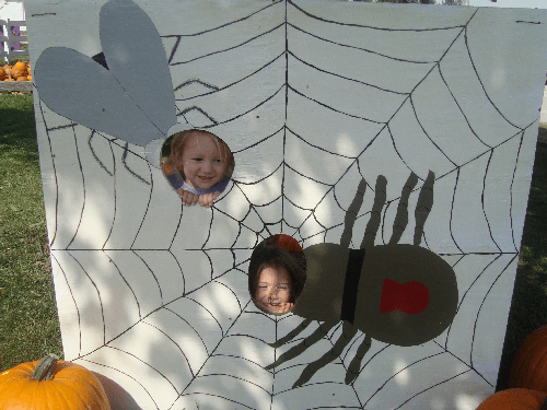 PP_spiderfly