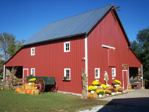 bloom_barn