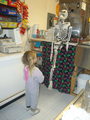 FW_skeleton