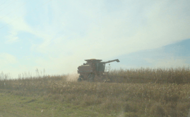 Harvest_1