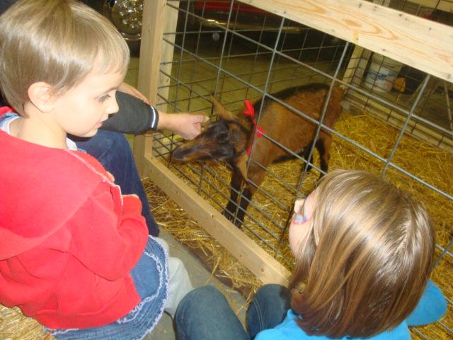 fh_raynee_tory_goat