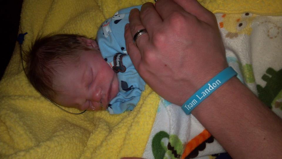 Team Landon