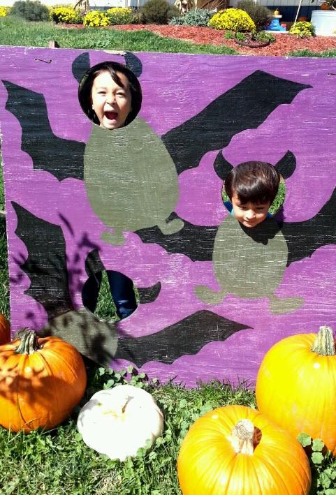 Punkin bats
