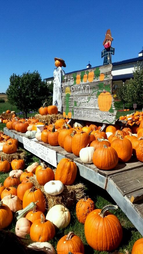 Punkin sign